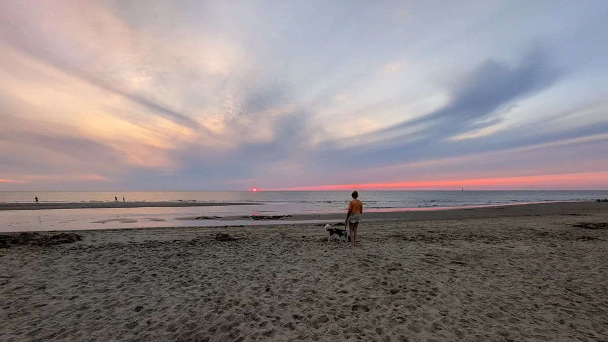 Hundespaziergang im Sonnenuntergang